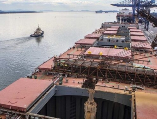 Deforestación. Brasil sigue los pasos de la Argentina y diseña una plataforma para poder exportar embarques de soja 100% trazables