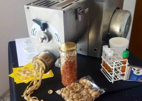 Harina y galletas de sorgo, la innovadora apuesta de un proyecto cordobés
