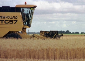 Brasil aceptó un pedido del Gobierno y no bajará a 0% el arancel para la importación de trigo extra Mercosur.