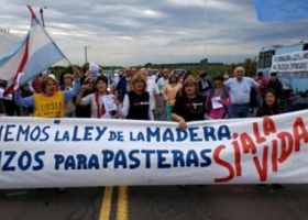 Entre Ríos derogó la Ley de la Madera en medio de protestas de ambientalistas