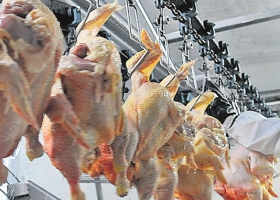 Coninagro apoyó la rebaja del IVA al pollo, cerdo y conejo pero pidió devolver saldo técnico al productor