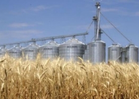 El trigo cordobés se perfila para una producción de 4,15 millones de toneladas