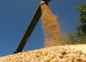 Se redujo la participación de la soja argentina en las compras de China