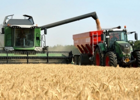El costo de cosechar trigo en Córdoba fue 22% superior la campaña anterior