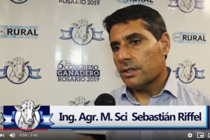 Ing. Agr. Sebastián Riffel en el 6to Congreso Ganadero Rosario 2019