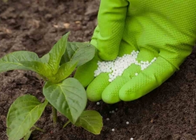  Argentina comienza a quedarse sin reservas de fertilizantes fosfatados pero es tan pobre el ánimo de siembra que a nadie le importa