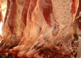 Carne: EE.UU. envió un informe para avanzar en la apertura de su mercado