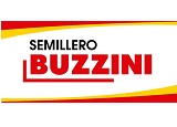 Semilleros Buzzini