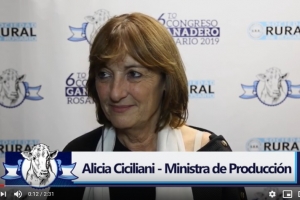 Ministra Alicia Ciciliani en el 6to Congreso Ganadero Rosario 2019