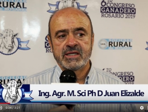 Estado actual de la producción de carne en la Argentina