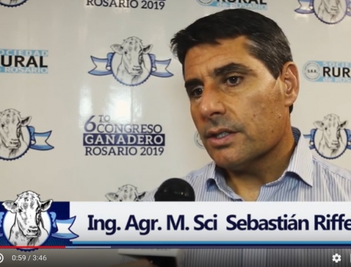 Los sistemas de producción de carne en la Argentina 