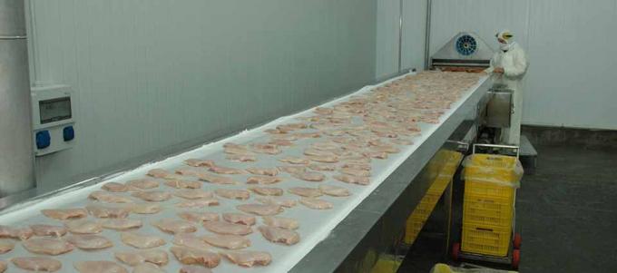 Aprobaron los procedimientos y la Argentina comenzará a exportar carne aviar a Canadá