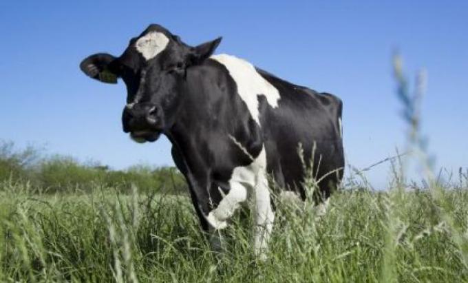 Destacan un importante avance para los productores tamberos santafesinos