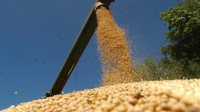 Commodities: prevén precios estables para la próxima década