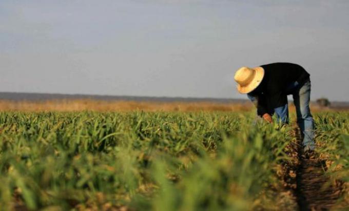 Trabajadores rurales lograron un ajuste salarial del 37%