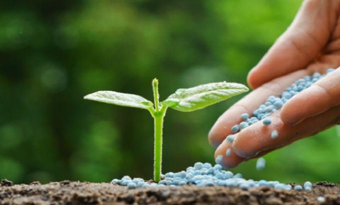 Estiman que, con la quita de retenciones, crecerá el uso de fertilizantes