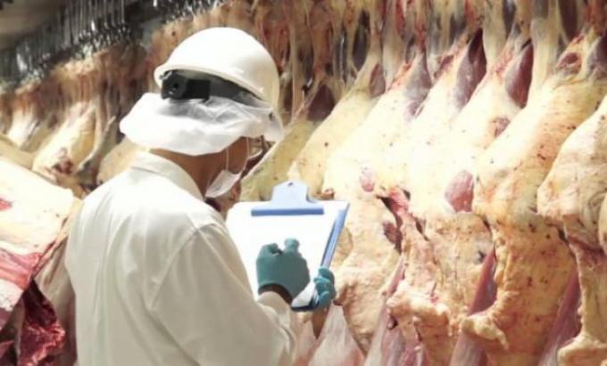 Prevén que crezcan 25% las exportaciones de carne bovina en 2018