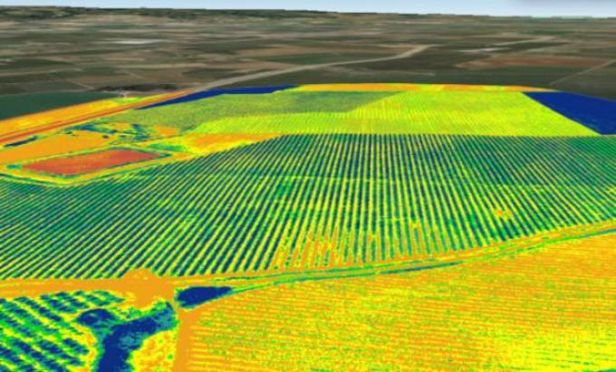 Agricultura por ambientes: un traje a la medida de cada suelo