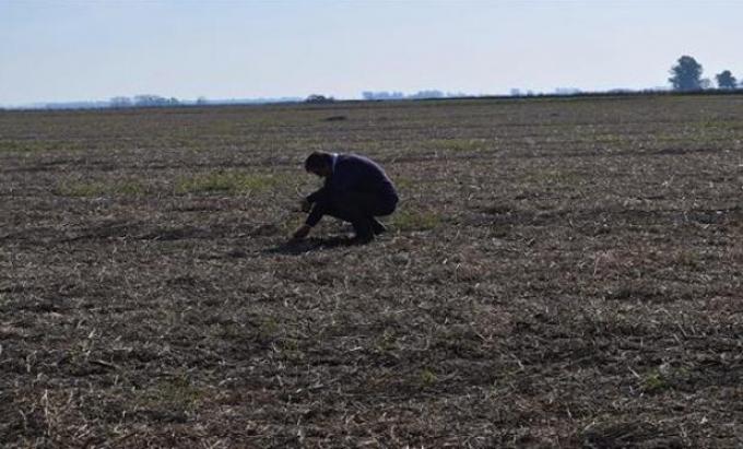 Con aplicaciones selectivas, se utiliza hasta un 90 % menos de herbicidas