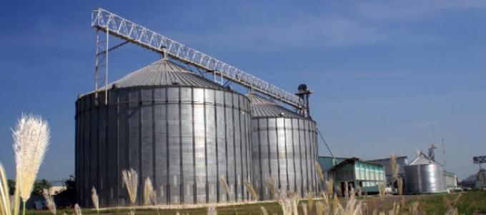 Un sistema de secado en silo a baja temperatura revoluciona la post-cosecha