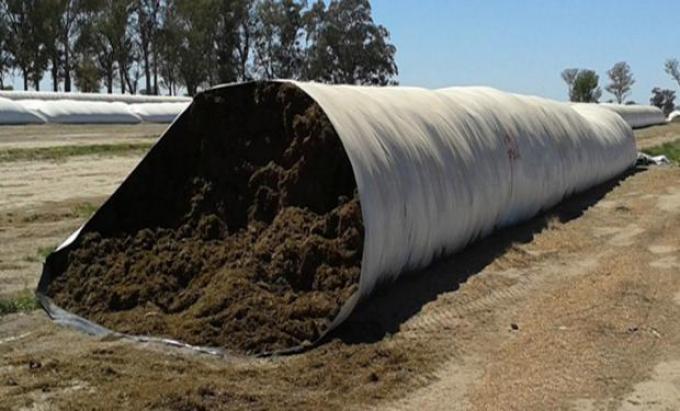 Henolaje de alfalfa: guía para lograr un alimento de calidad