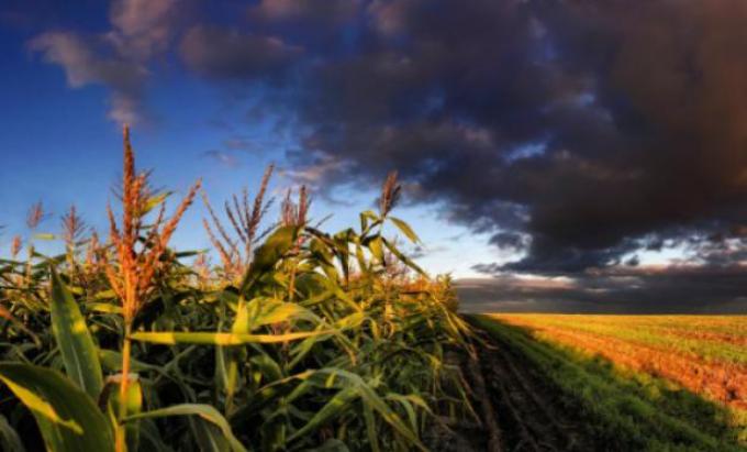 ¿Cómo será el clima en los próximos meses?