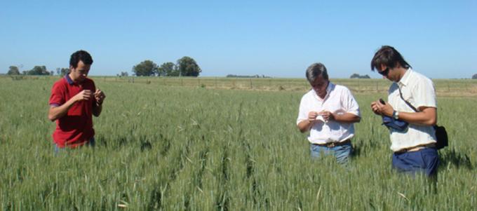 Inmobiliario Rural: el agro analiza cómo reaccionar