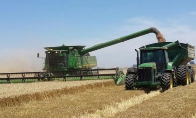 Trigo: los primeros lotes trillados sorprendieron con sus resultados en la zona núcleo