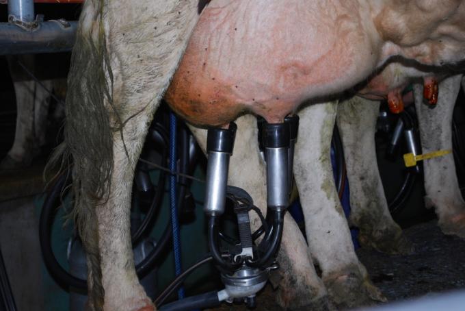 Macri volverá a recibir a la Mesa de la Leche a comienzos de febrero
