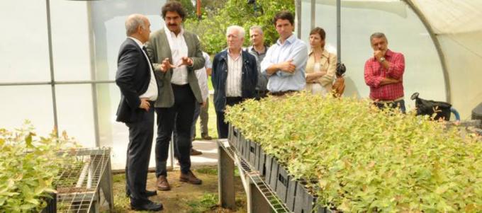 Presentan un Plan Foresto Industrial para duplicar la producción en Buenos Aires