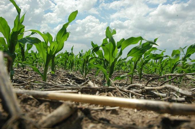 Hay alerta por la falta de agua para los cultivos de la zona núcleo