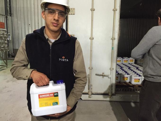 Un logro argentino: aprobaron la comercialización de cártamo modificado que expresa quimosina bovina en su semilla
