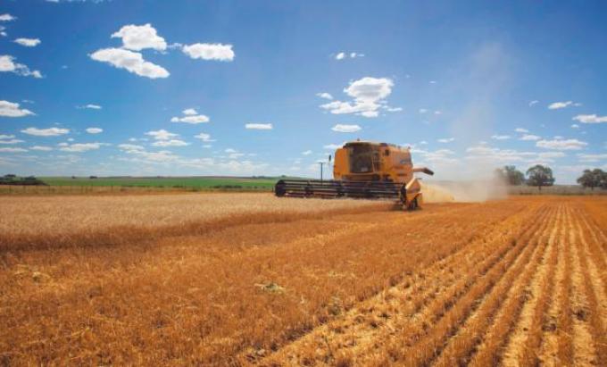 Maquinaria: evolución de una industria relevante para el agro argentino