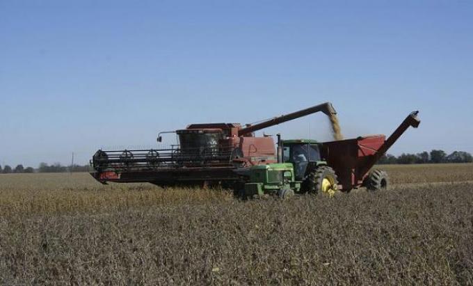 Córdoba: soja y trigo marcaron mejoras en los resultados
