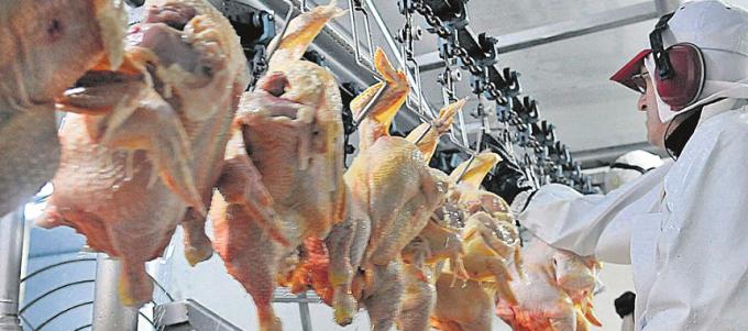 Coninagro apoyó la rebaja del IVA al pollo, cerdo y conejo pero pidió devolver saldo técnico al productor