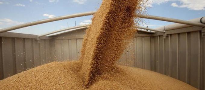 Sin trabas, las exportaciones de harina de trigo cierran en el mayor nivel en cinco años