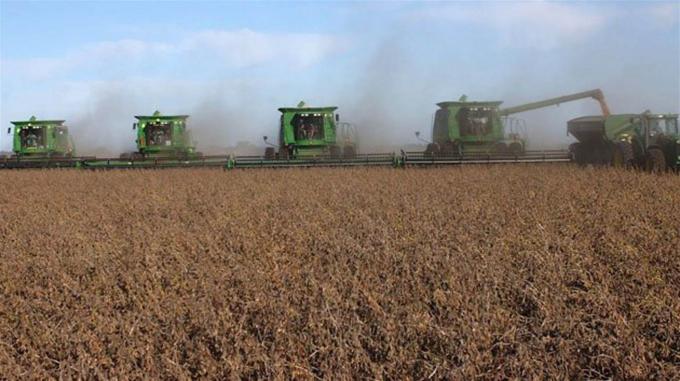 Exportaciones del campo: prevén un ingreso de dólares similar al de 2017