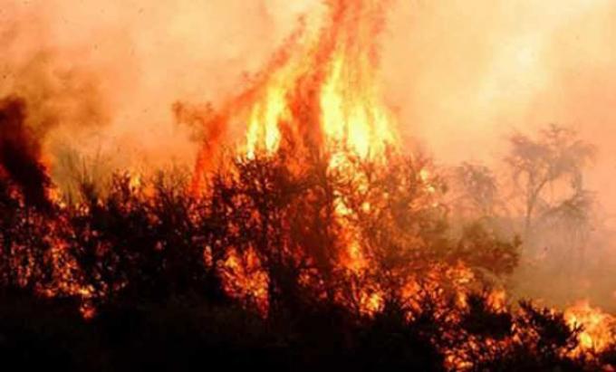 Confirman que ya no quedan incendios activos en La Pampa