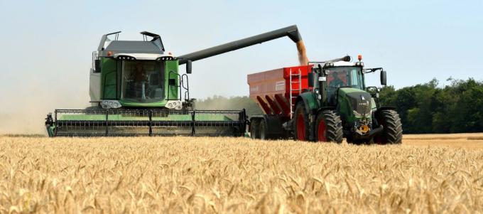 El costo de cosechar trigo en Córdoba fue 22% superior la campaña anterior