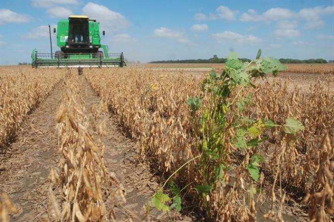 Por la sequía en varias zonas agrícolas, podría quedar sin sembrar hasta 120.000 hectáreas con soja