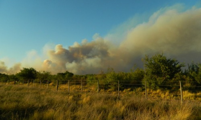 La Pampa: se incendiaron 153 mil hectáreas y hay 2 millones en riesgo