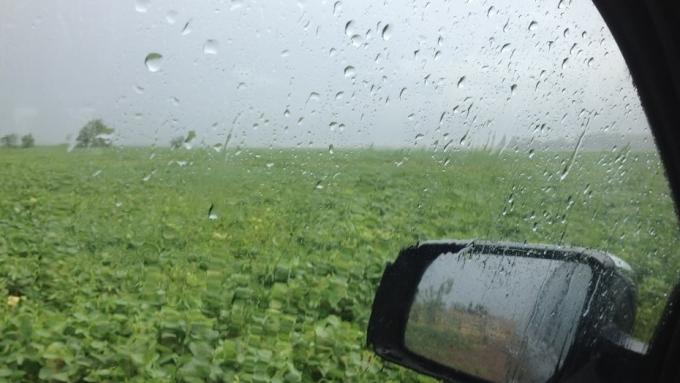 Recién el fin de semana se prevén lluvias importantes en la zona pampeana: alerta por altas temperaturas en la región semiárida