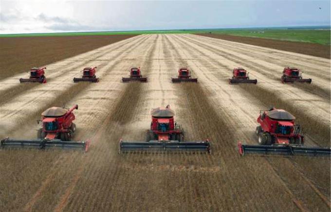 Brasil volverá a duplicar la cosecha de soja de la Argentina