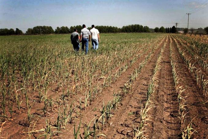 Pese a las lluvias del fin de semana, no cede la sequía en el centro-norte bonaerense