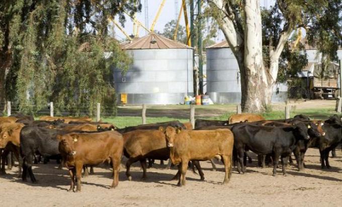 RENSPA: productores podrán tramitar el 100% de su inscripción de manera online