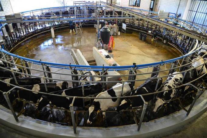 Santa Fe: tras invertir US$2,5 millones, un tambo duplicó su producción en seis años