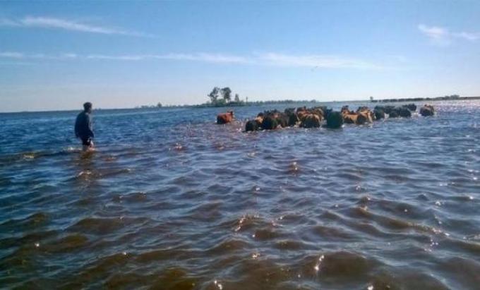 Se recuperan las áreas productivas de General Villegas tras las inundaciones