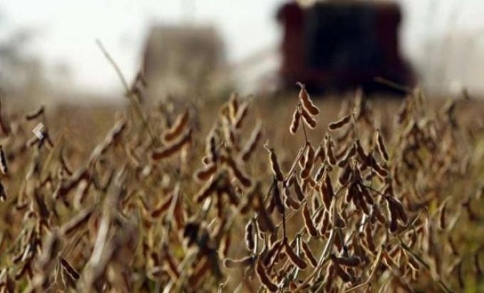 Acsoja advierte que los costos y las condiciones climáticas complican al NOA