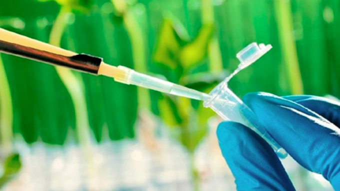Se reglamentó la Ley de Promoción de la Biotecnología