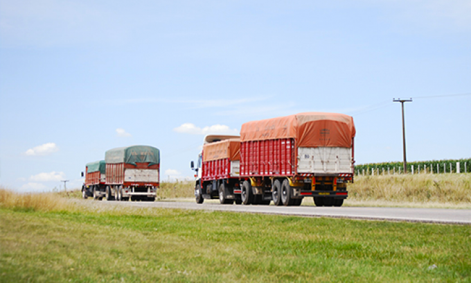 La nueva cosecha, con cambios en el transporte: ¿bajarán los costos?